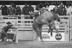 BW-cowboy