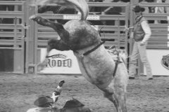 BW-cowboy1