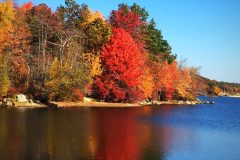 Fall2