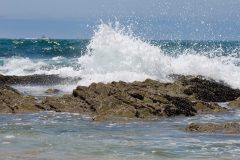 wave