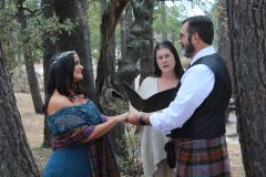 Weddings